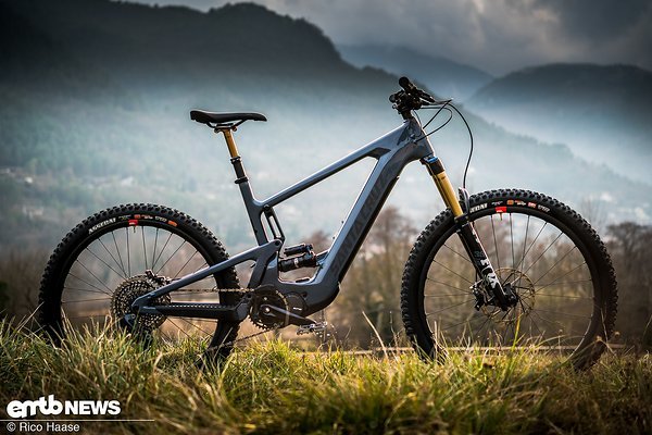 Santa Cruz Heckler